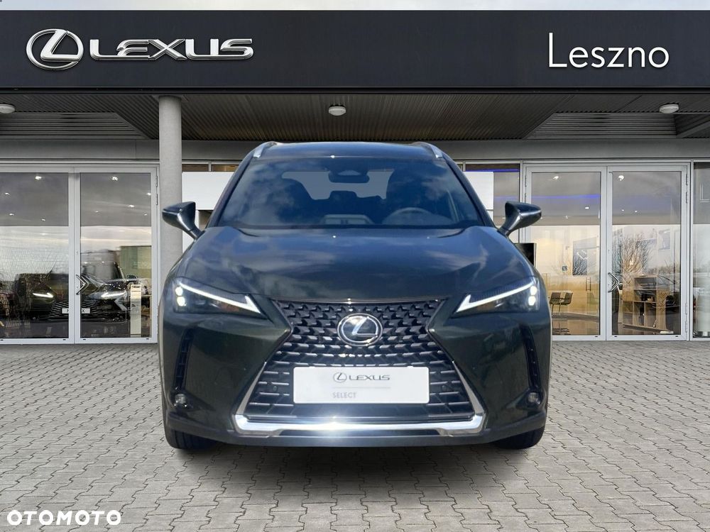 Lexus UX 300h Business - 7