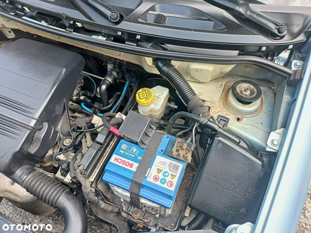 Fiat Panda - 39