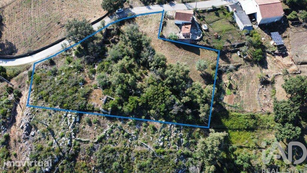 Terreno Agrícola em Santiago da Guarda - Grande imagem: 2/14