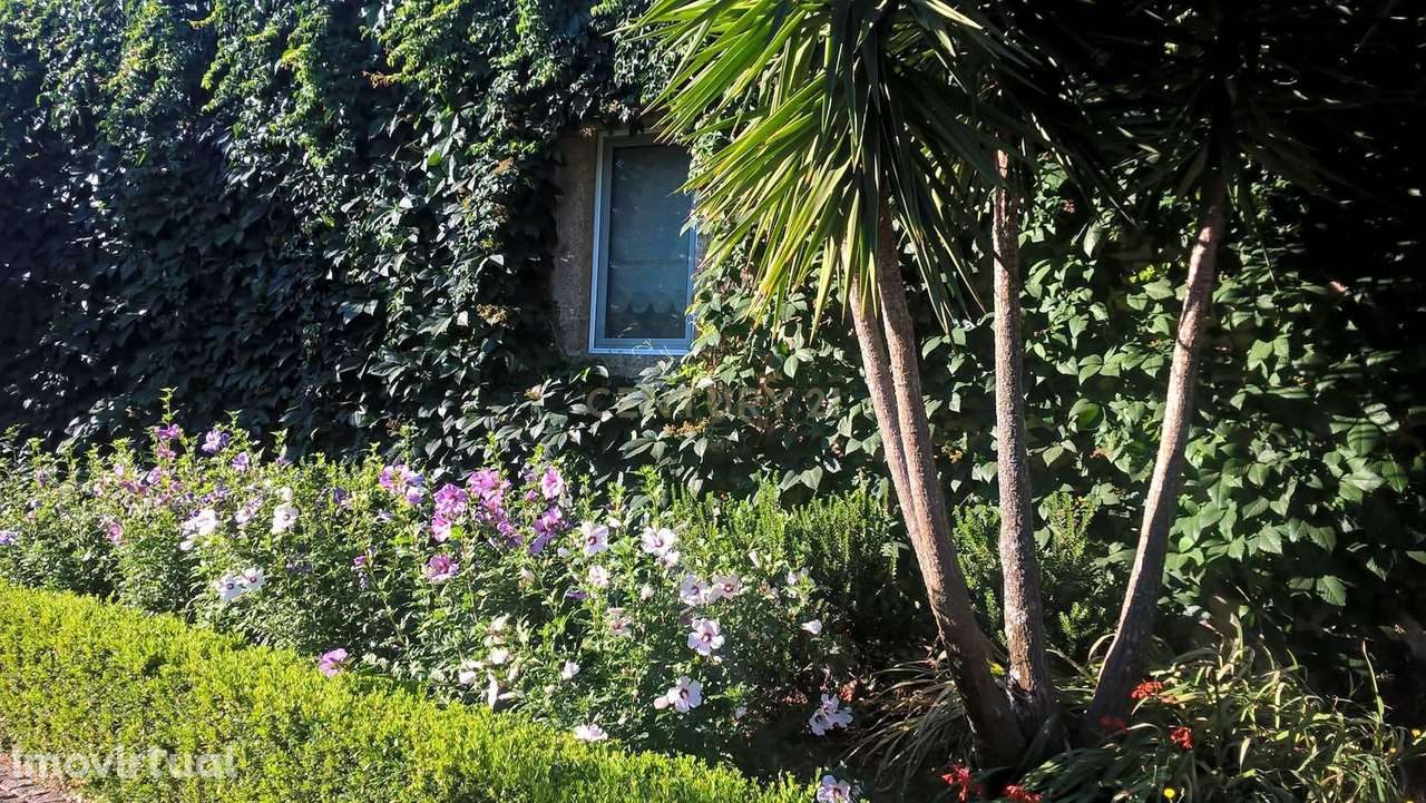 Quinta do Ervedal-15,7ha de História e Beleza Natural em Castelo Novo - Grande imagem: 3/60