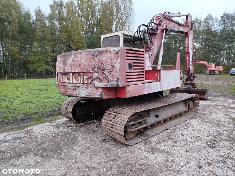 Case 61 błotniak - 6