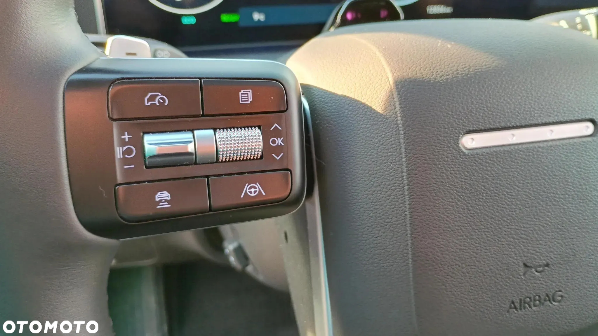 Hyundai Santa Fe - 27