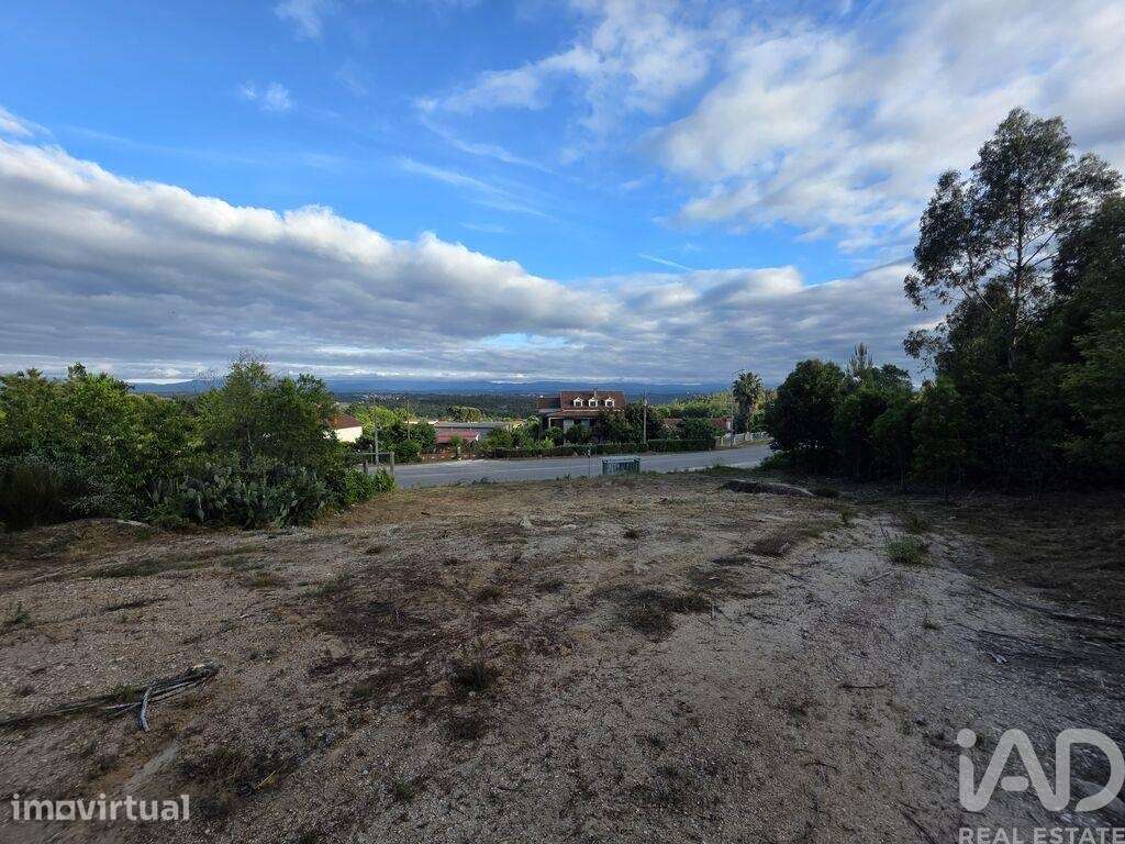 Terreno em Treixedo e Nagozela - Grande imagem: 4/6