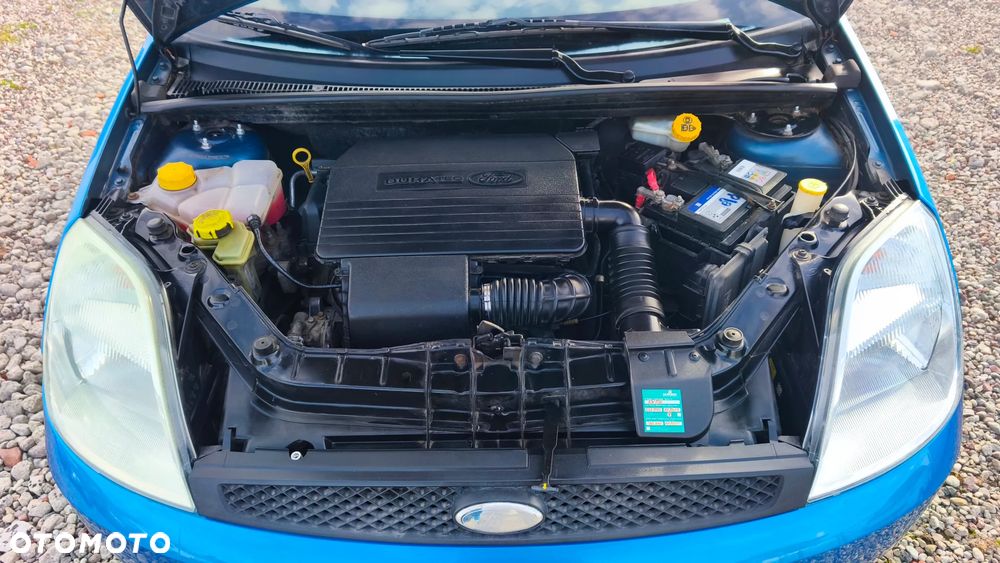 Ford Fiesta - 16