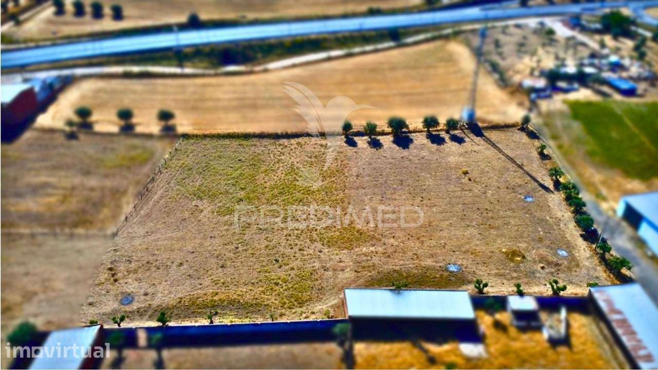 Terreno Urbano com 7.500 m² em São Manços | Potencial de Construção... - Grande imagem: 5/8