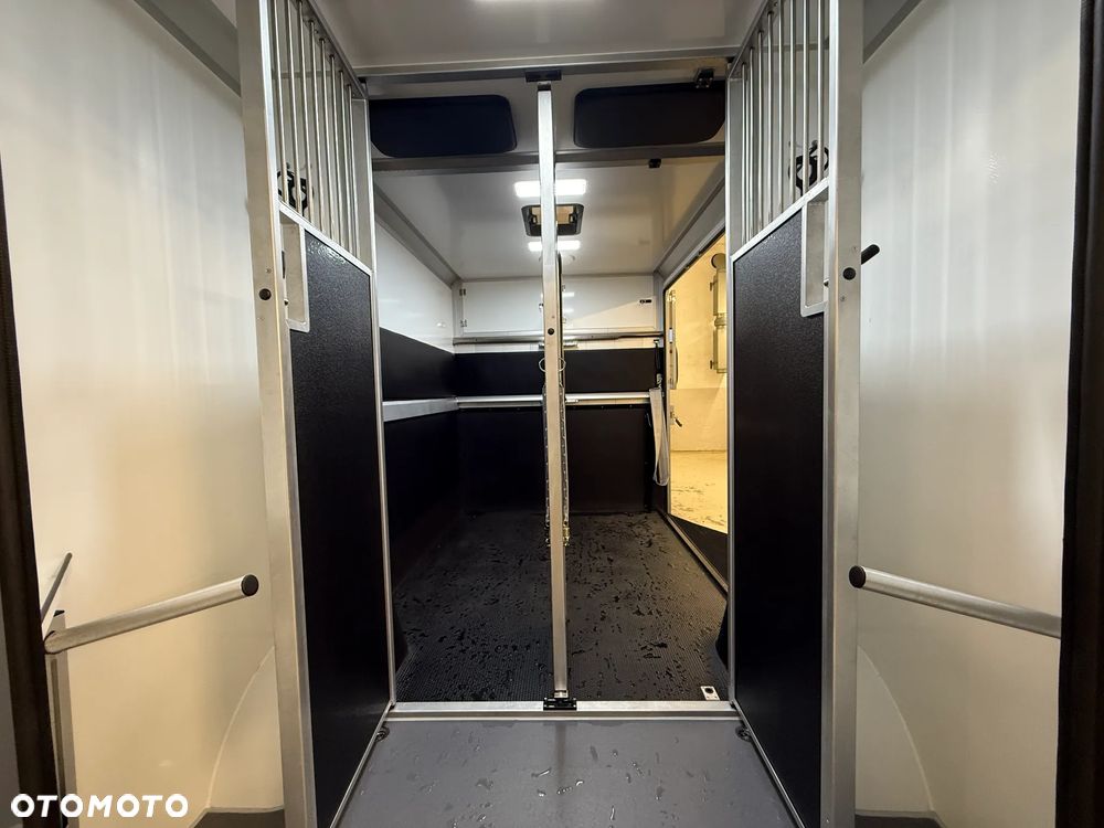 Renault MASTER IV Nowy koniowóz STX Automat, GWARANCJA - 12