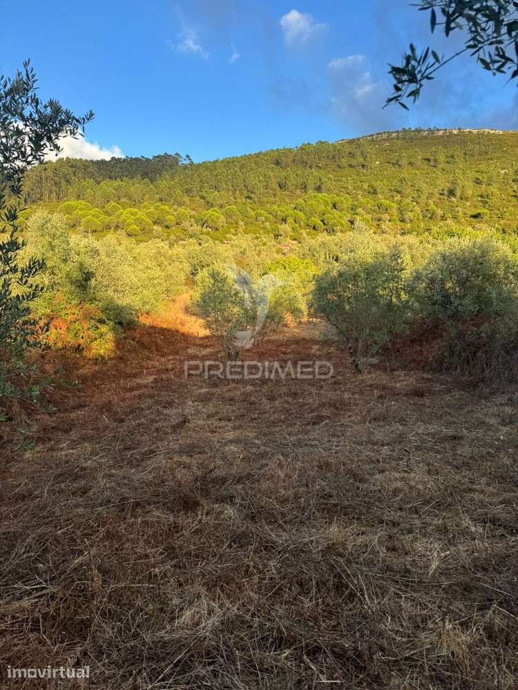 Terreno Urbanizável com 600 m² – Alqueidão da Serra | 10 minutos de... - Grande imagem: 2/25
