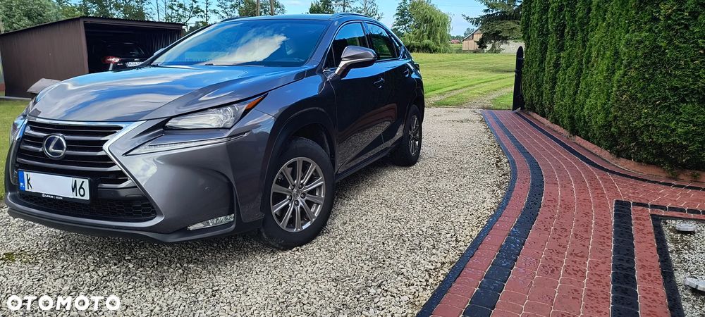 Lexus NX 300h Elite AWD - 10