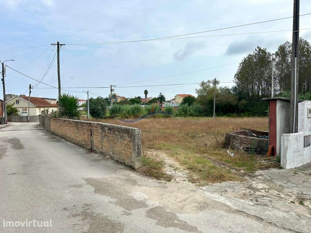 Terreno - Granja, Monte Real - Grande imagem: 4/11