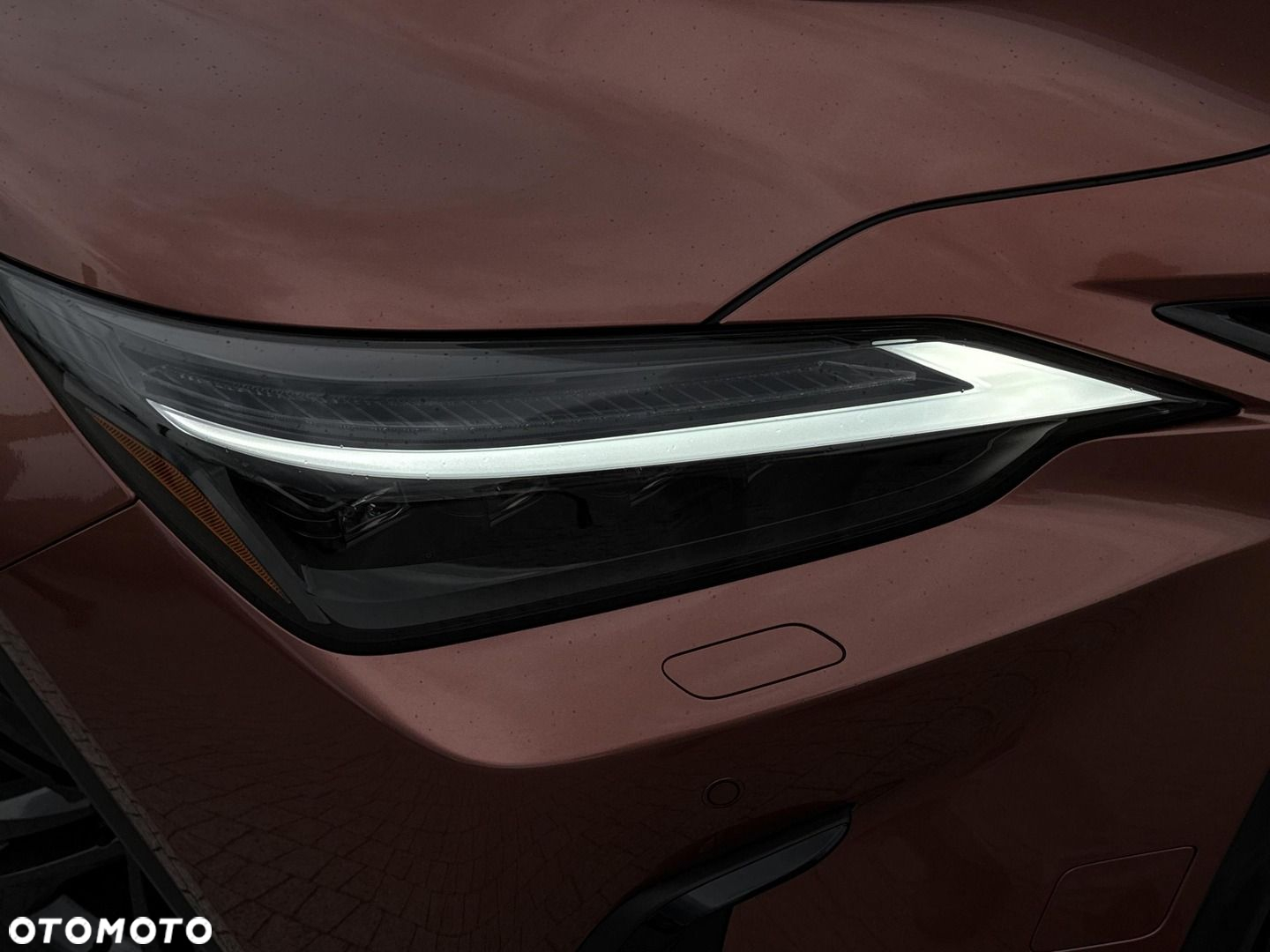 Lexus NX - 25