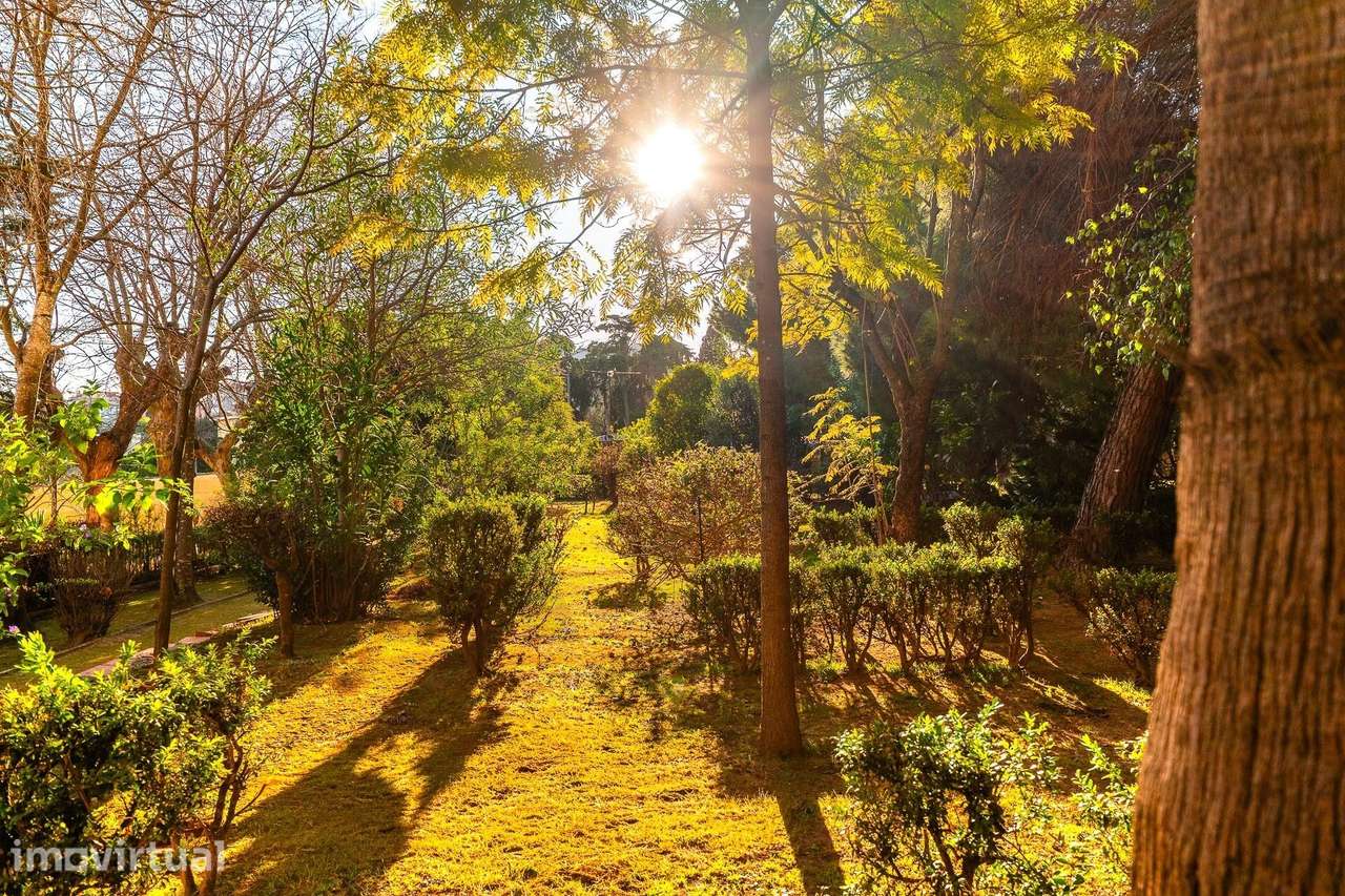 Moradia familiar com jardim na Penha de França, Lisboa - Grande imagem: 4/26
