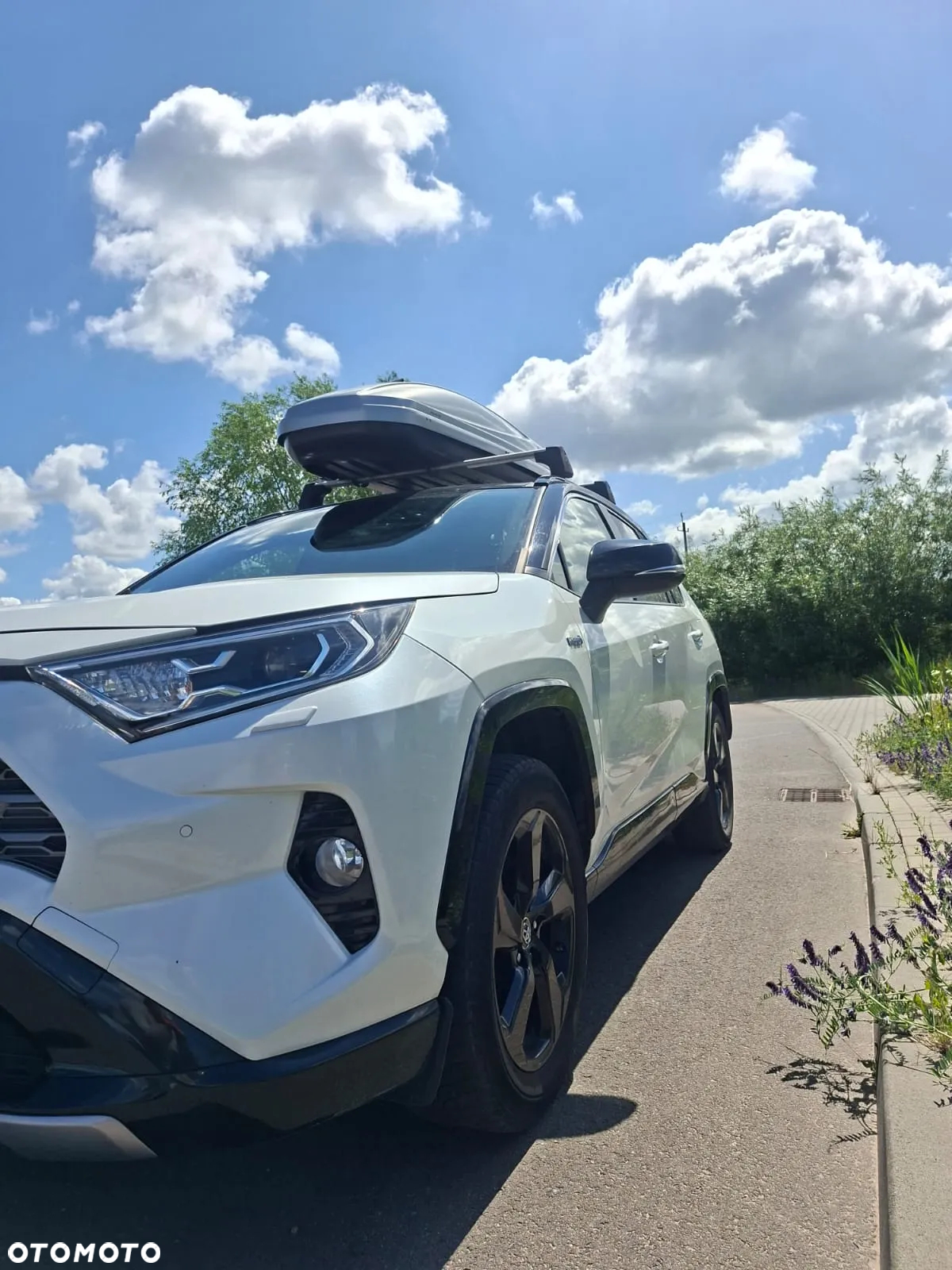 Toyota RAV4 2.5 Hybrid Selection 4x2 - 12
