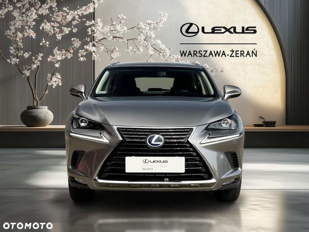 Lexus NX 300h Elegance AWD - 10