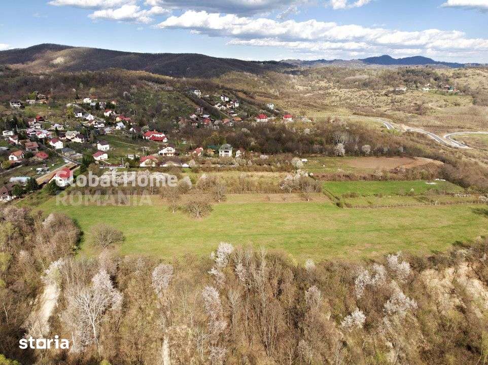 Mountain Plateau - 23.345 SQM - Exclusive Estate | Jud Prahova - Valea - Imagine principală: 4/10