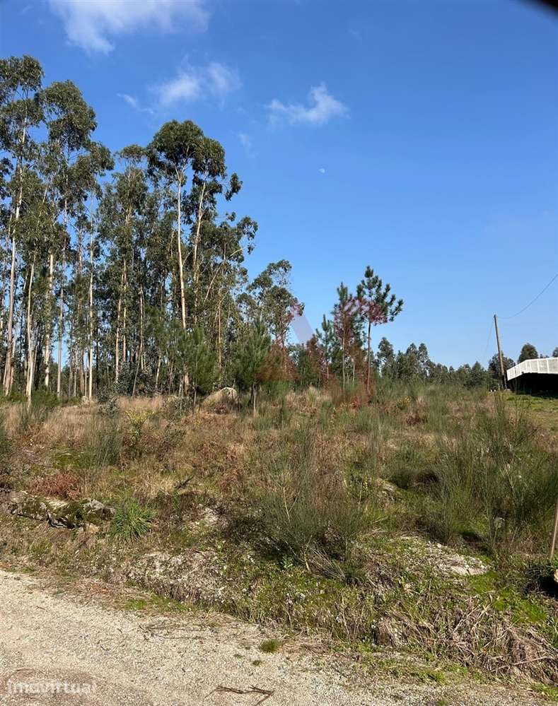 Terreno para Construção em Sanfins – 3.000 m² | Excelente Oportunidade - Grande imagem: 3/7