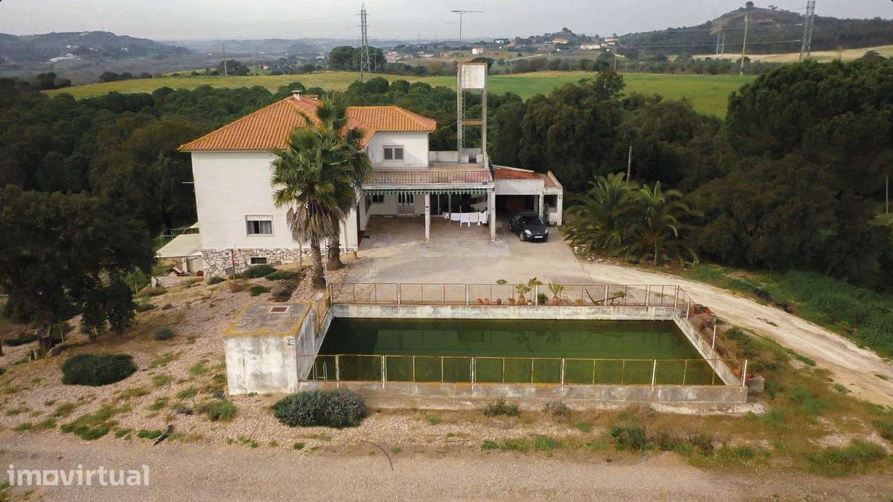 Quinta com 24 hectares no centro de Santarém – Excelente oportunidade - Grande imagem: 2/60