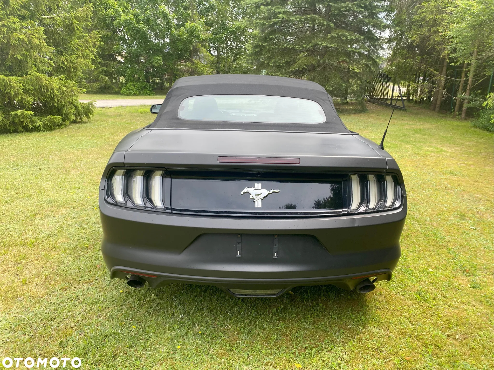 Ford Mustang 3.7 V6 - 17