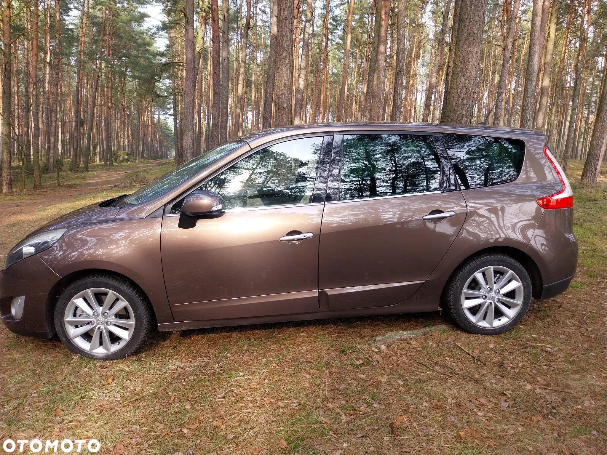 Renault Scenic - 6