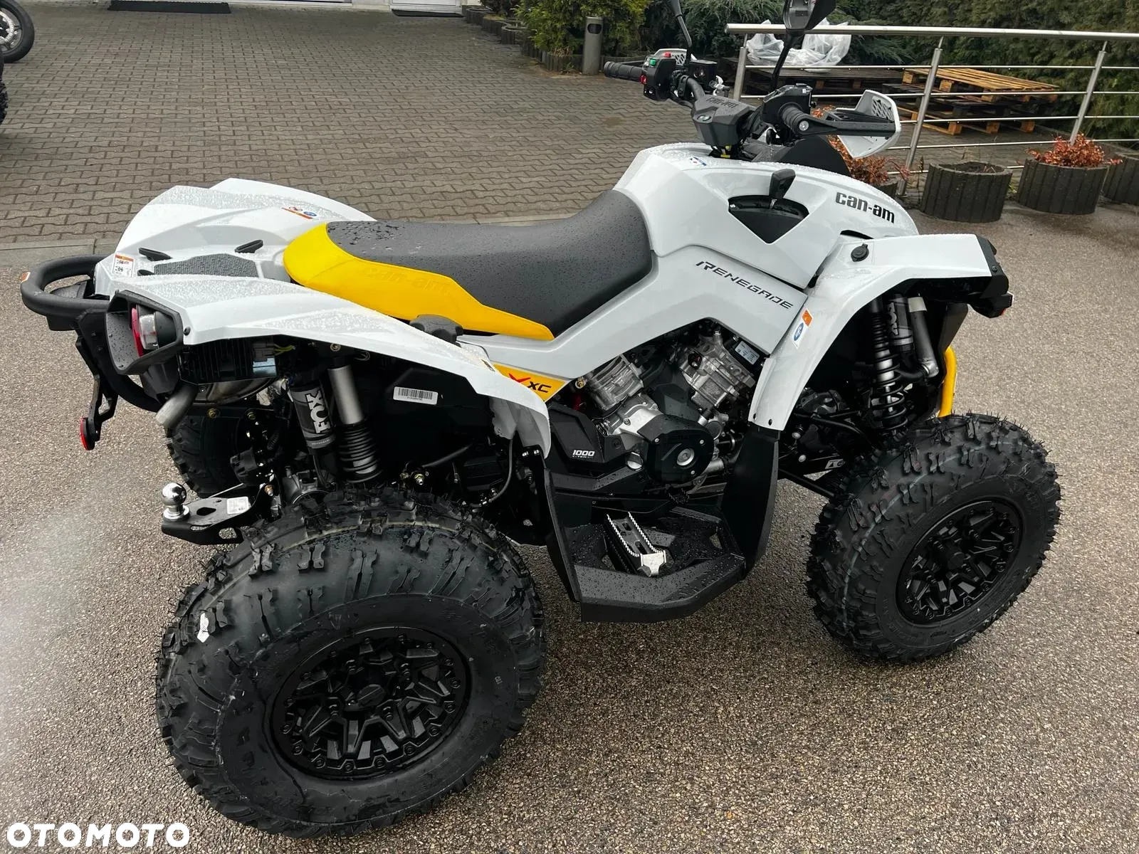 Can-Am Renegade - 11