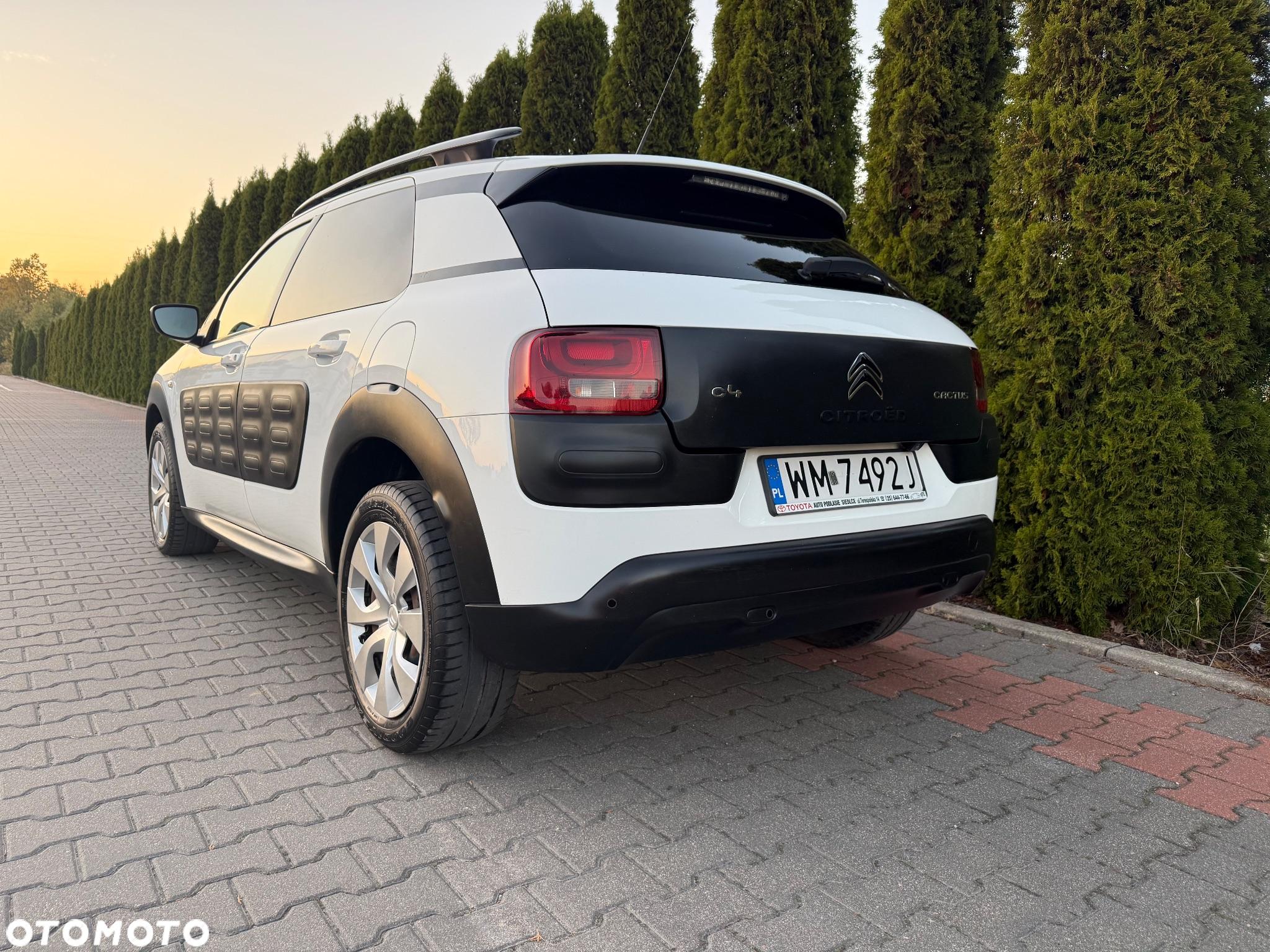 Citroën C4 Cactus 1.2 PureTech MoreLife - 7