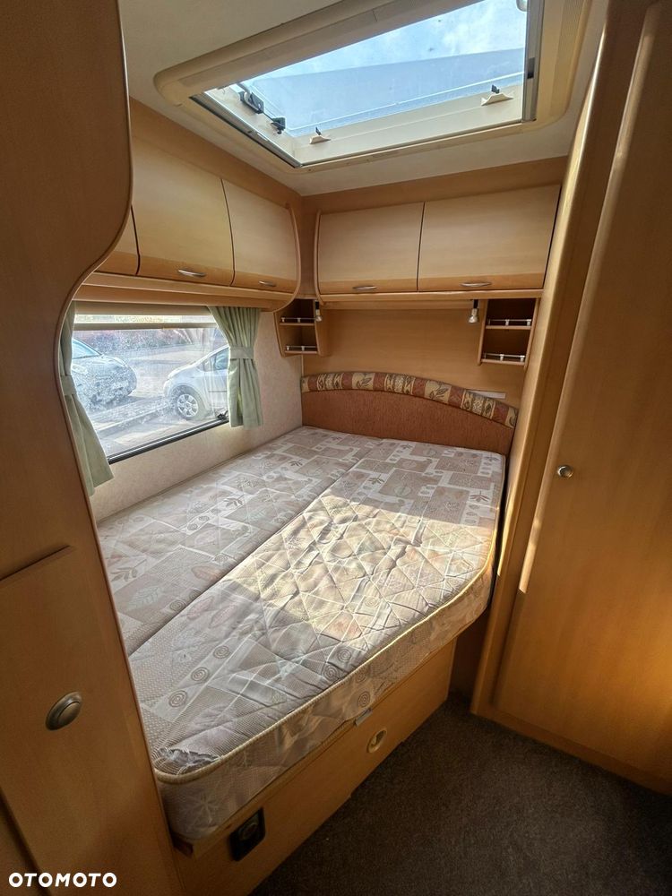 Coachman Amara - 12