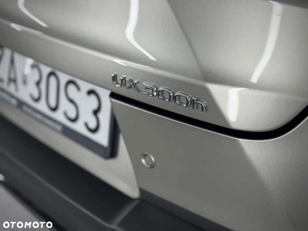 Lexus UX 300h F Sport Design - 35