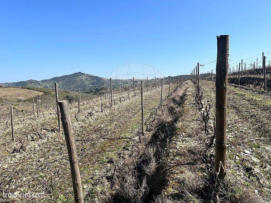 Terreno  para venda - Grande imagem: 4/17