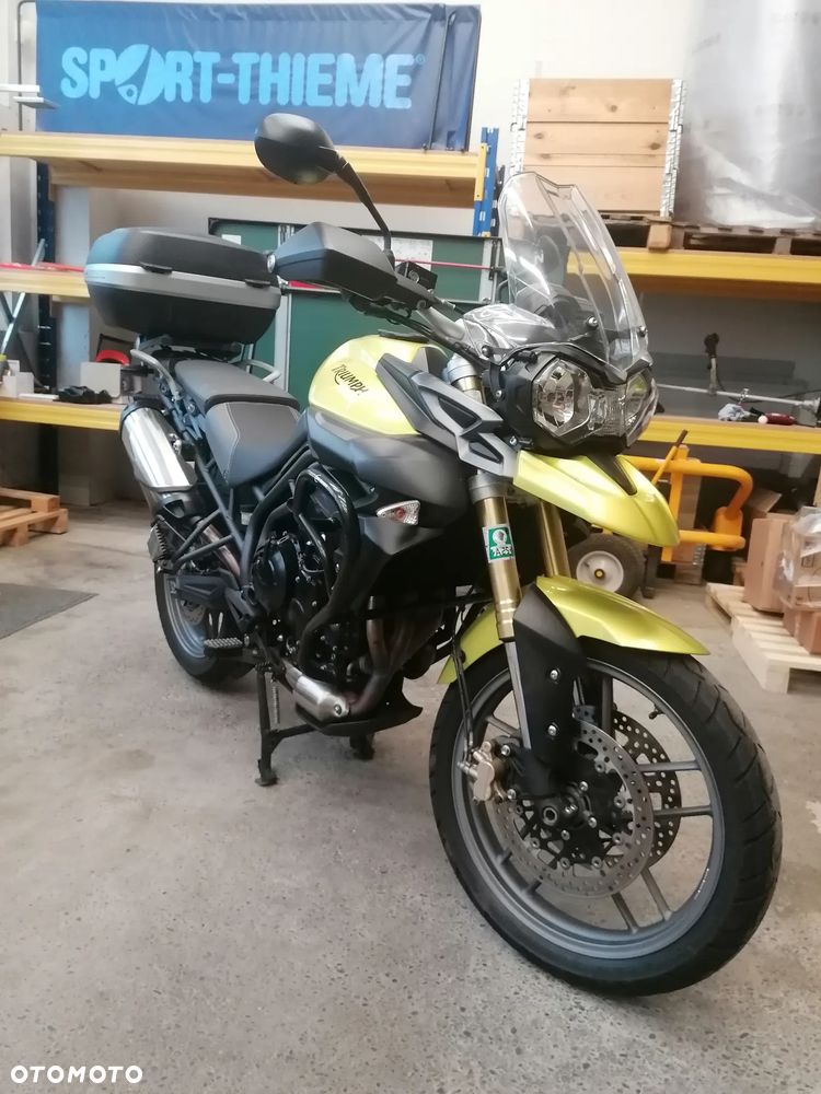 Triumph Tiger - 1