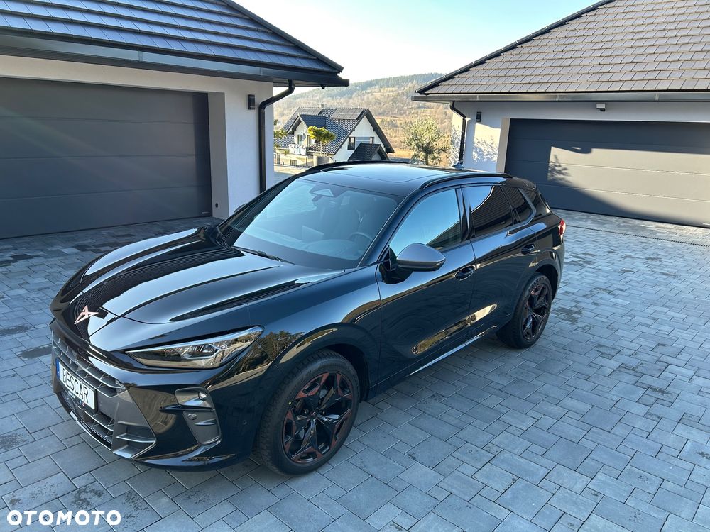 Cupra Terramar 2.0 TSI 4Drive VZ DSG - 20