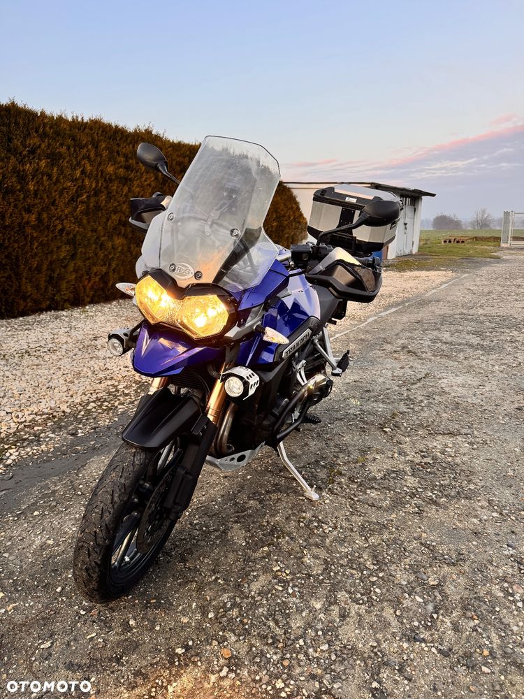 Triumph Tiger - 24