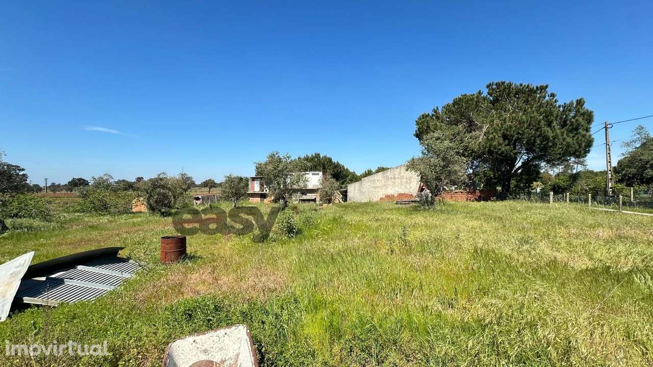 Quinta T3 com 3.780m2 Terreno, Pomar, Poço e Tranquilidade a 50 minuto - Grande imagem: 3/46