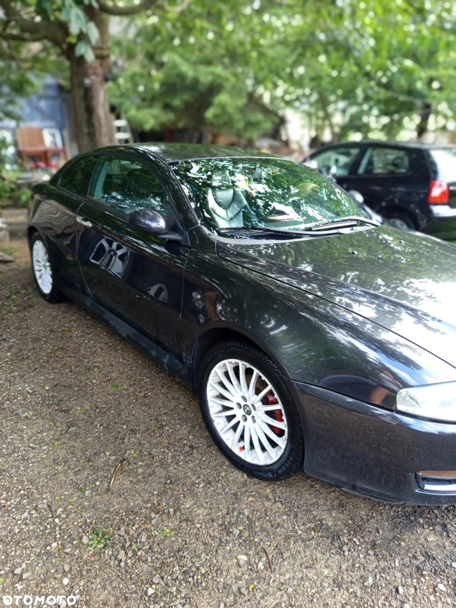 Alfa Romeo GT - 5