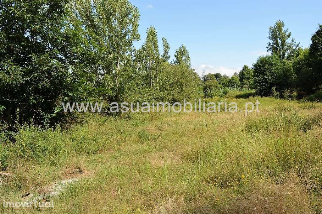 Terreno Agrícola - Sequeiros - Grande imagem: 2/9