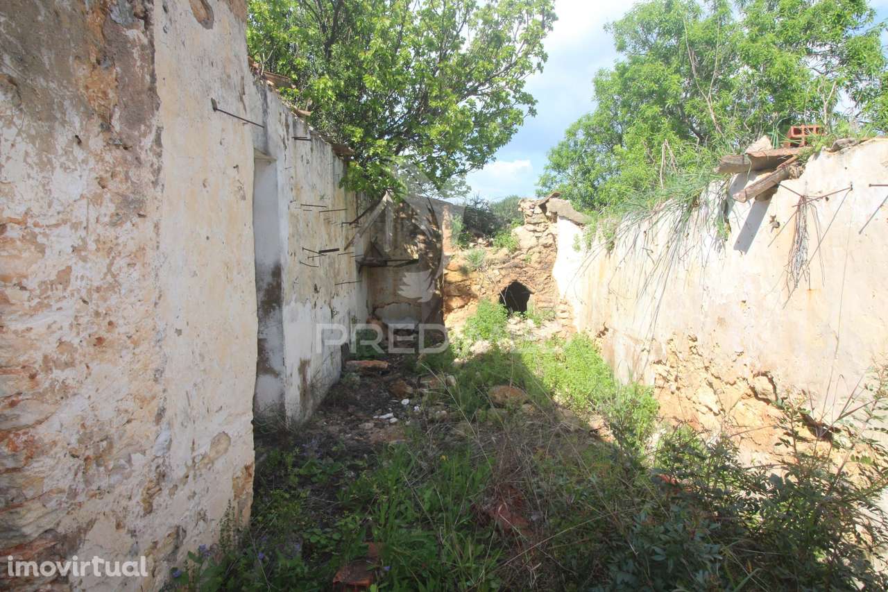 Casa antiga para renovar c/ terreno amplo - Grande imagem: 3/33