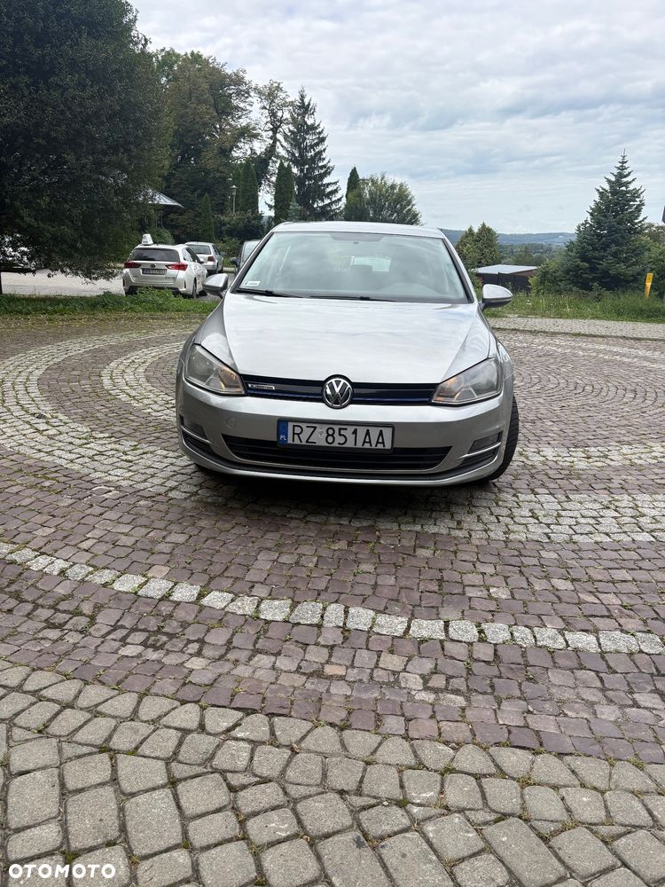 Volkswagen Golf 1.6 TDI BlueMotion Trendline - 5