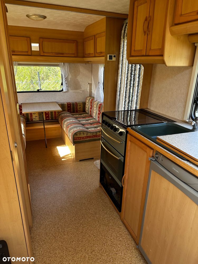 Coachman Amara - 10