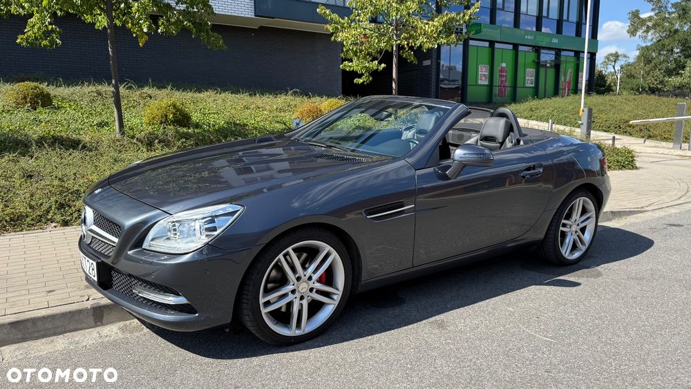 Mercedes-Benz SLK 250 CDI (BlueEFFICIENCY) 7G-TRONIC - 1