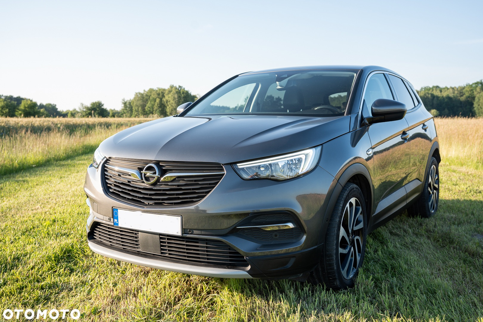 Opel Grandland X 1.2 T GPF Edition Business Pack S&S - 3