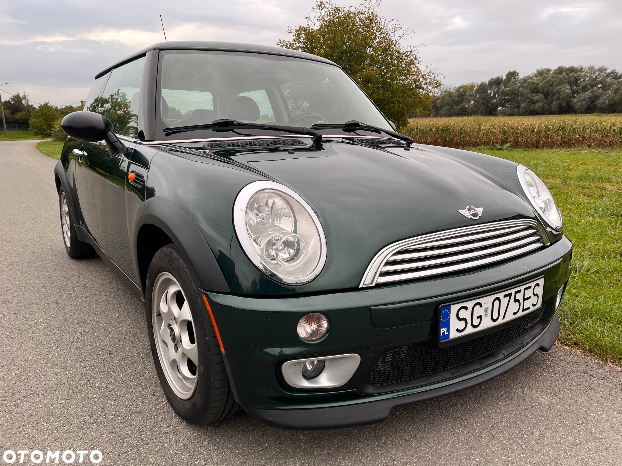MINI ONE salt - 6