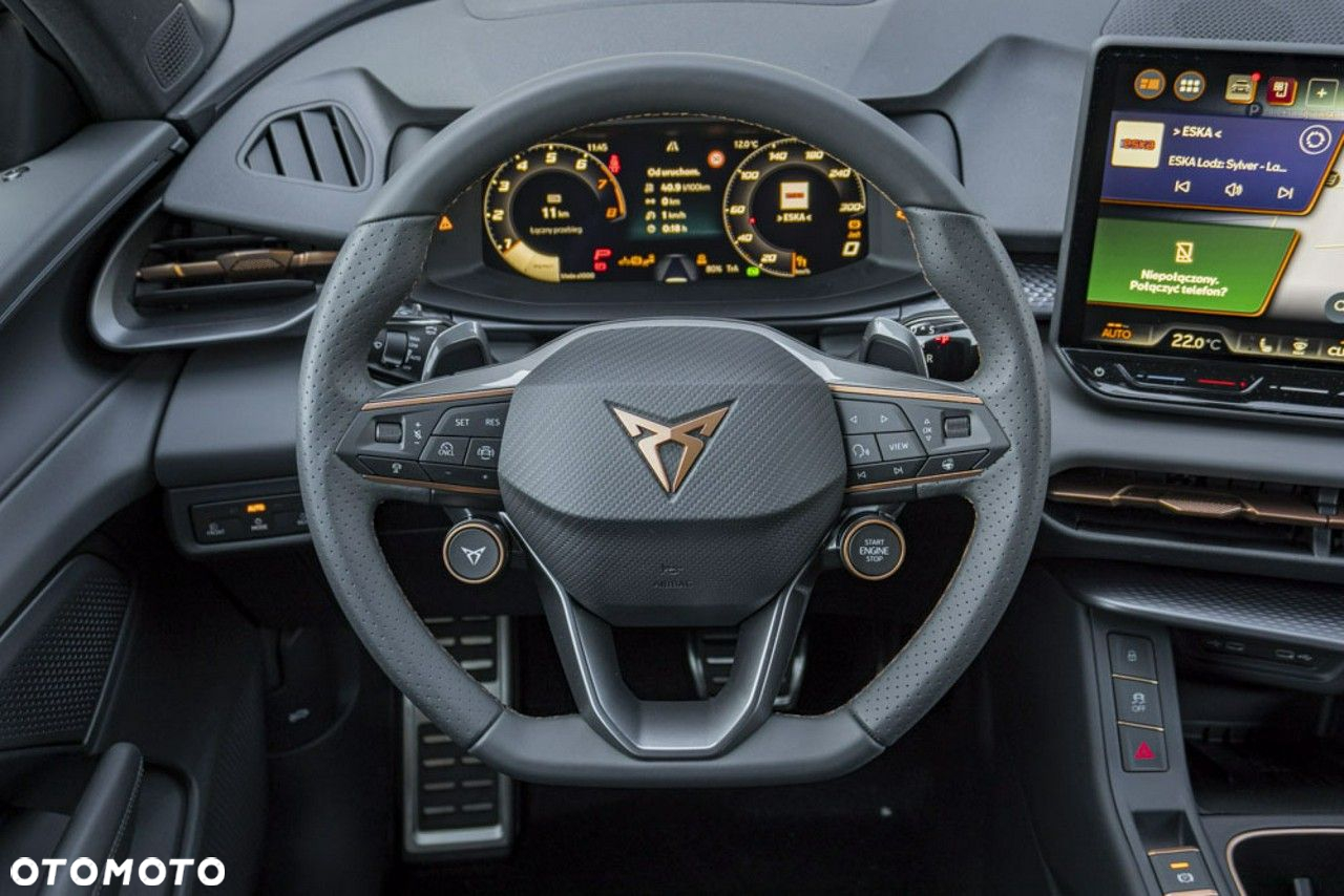 Cupra Terramar - 19