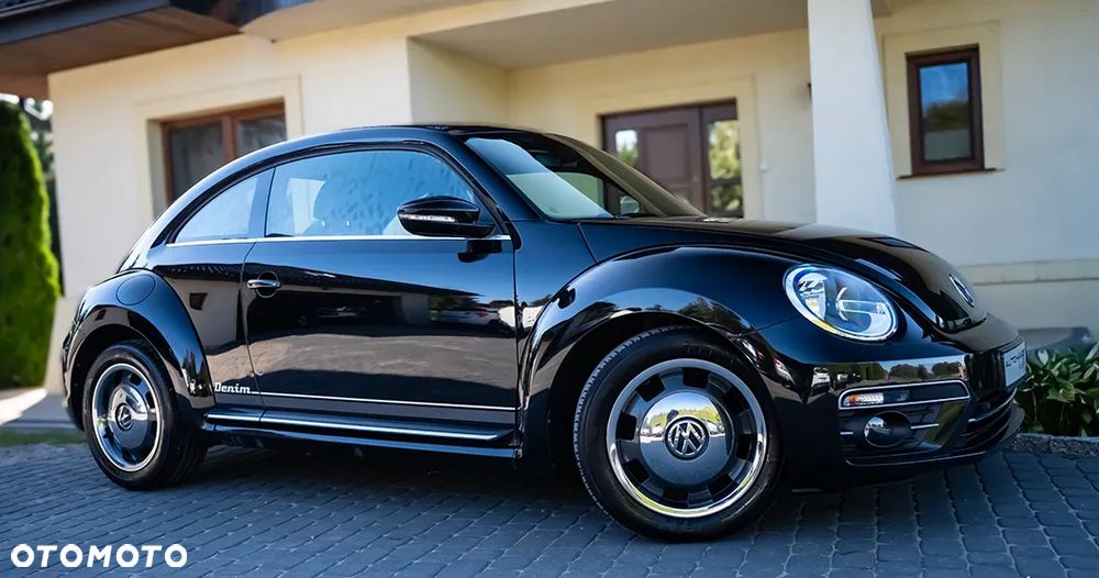 Volkswagen Beetle - 17