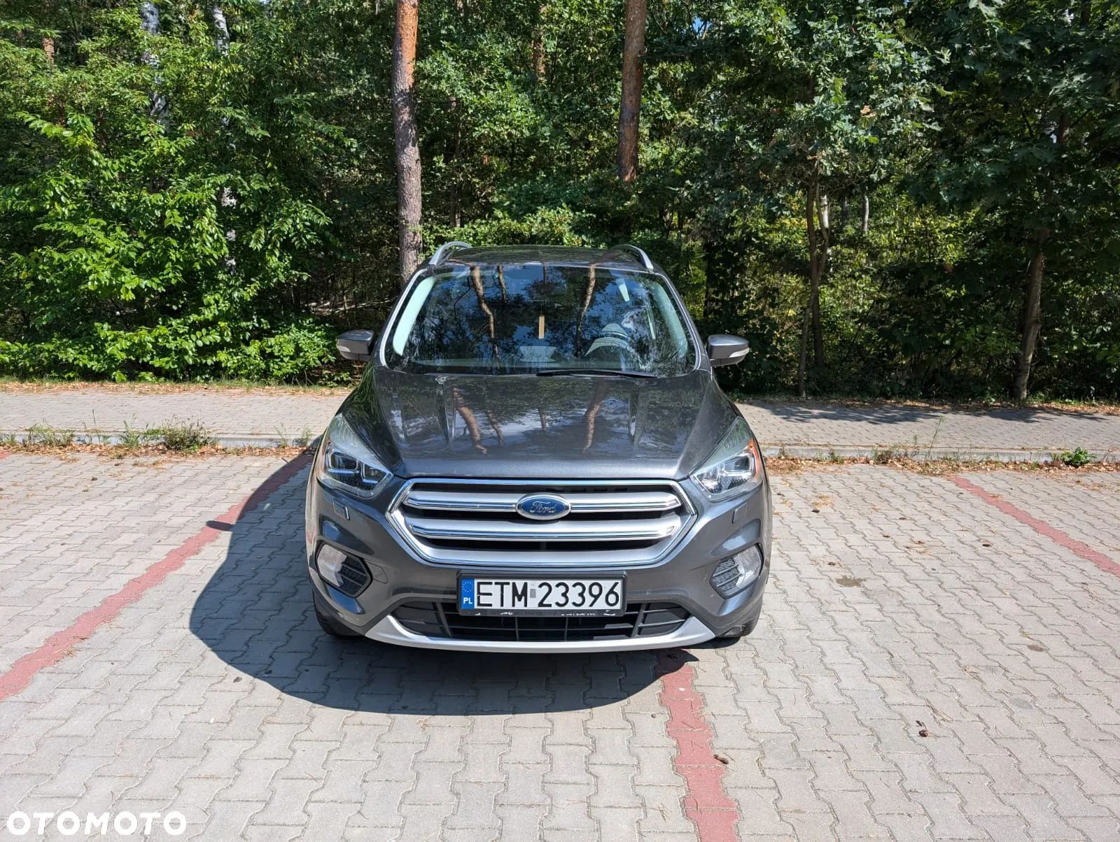 Ford Kuga 2.0 TDCi AWD Trend - 1