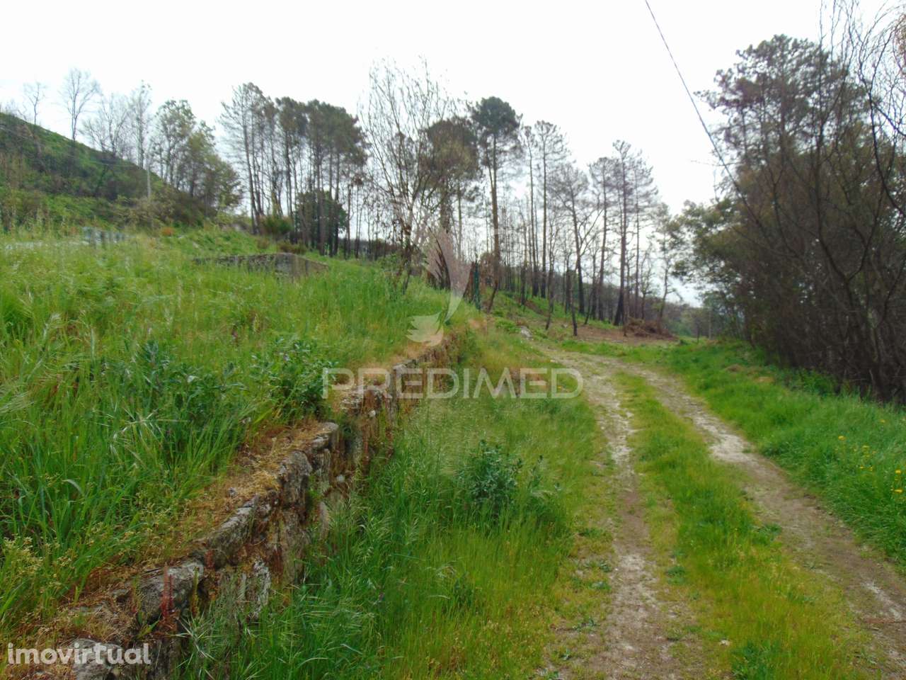 Terreno em Lordelo / Parque Natural do Alvão - Vila Real - Grande imagem: 2/37