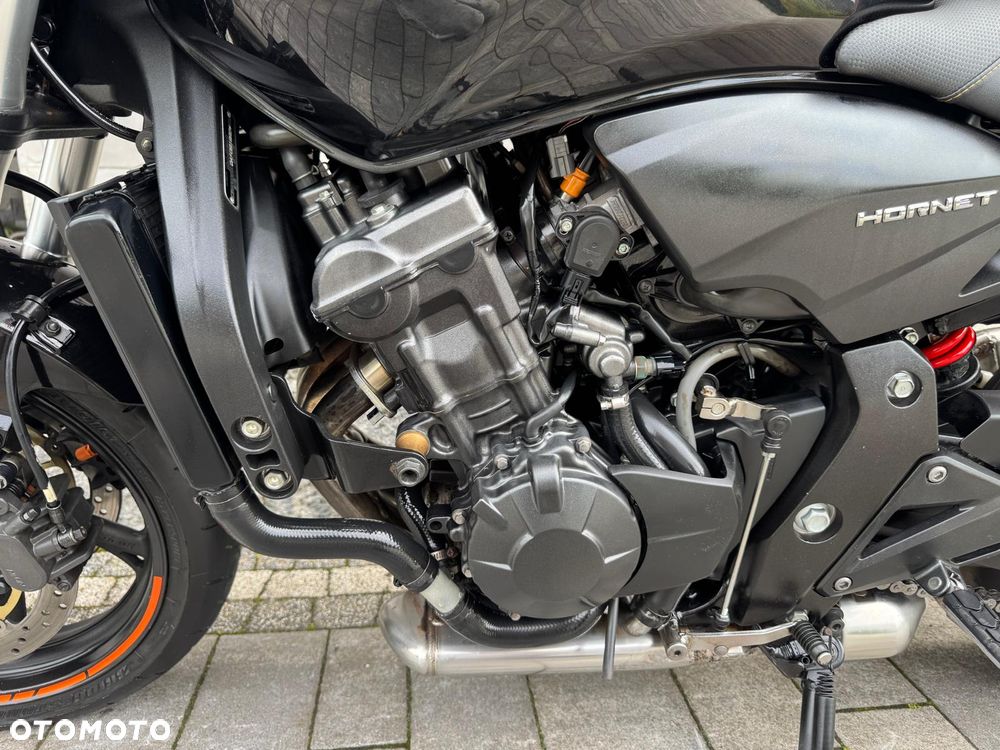Honda Hornet - 21