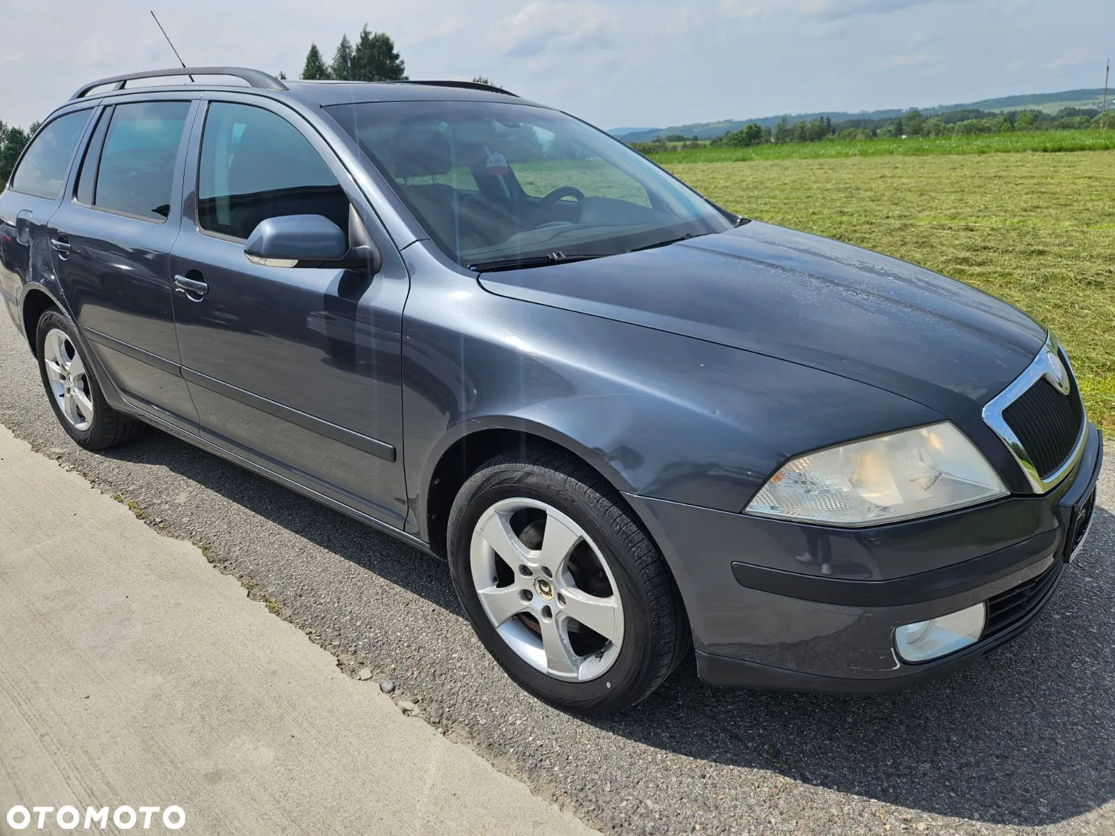 Skoda Octavia 1.9 TDI 4x4 Ambiente - 3