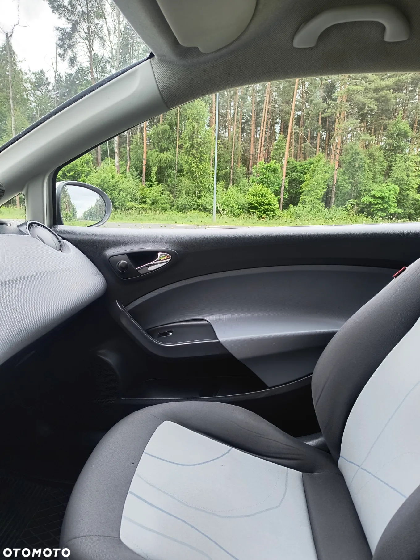 Seat Ibiza - 17