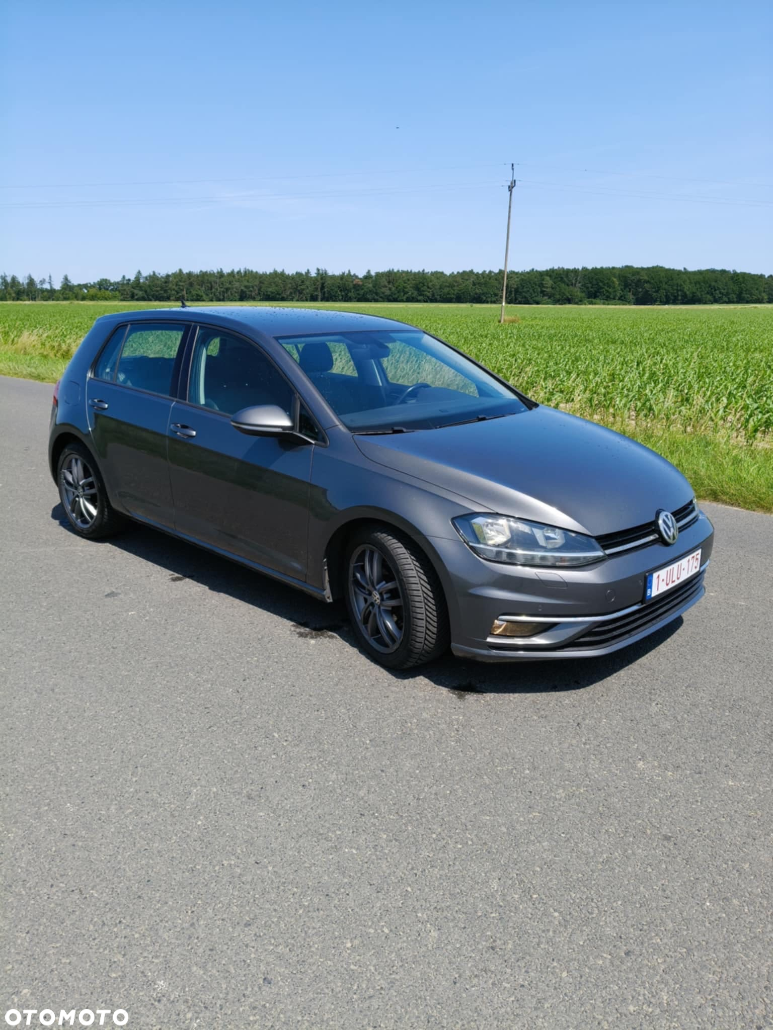Volkswagen Golf VII 1.6 TDI BMT Comfortline - 3