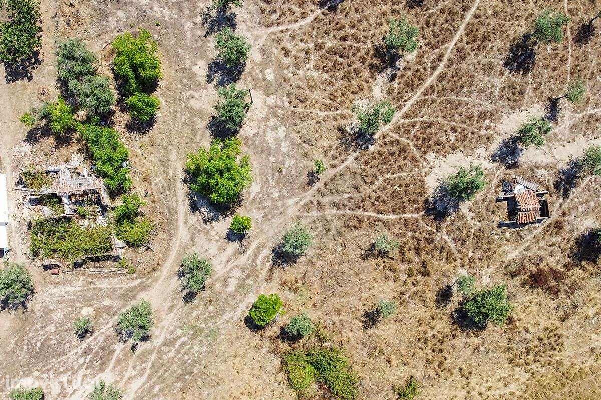 Quinta T5 para venda - Grande imagem: 4/10