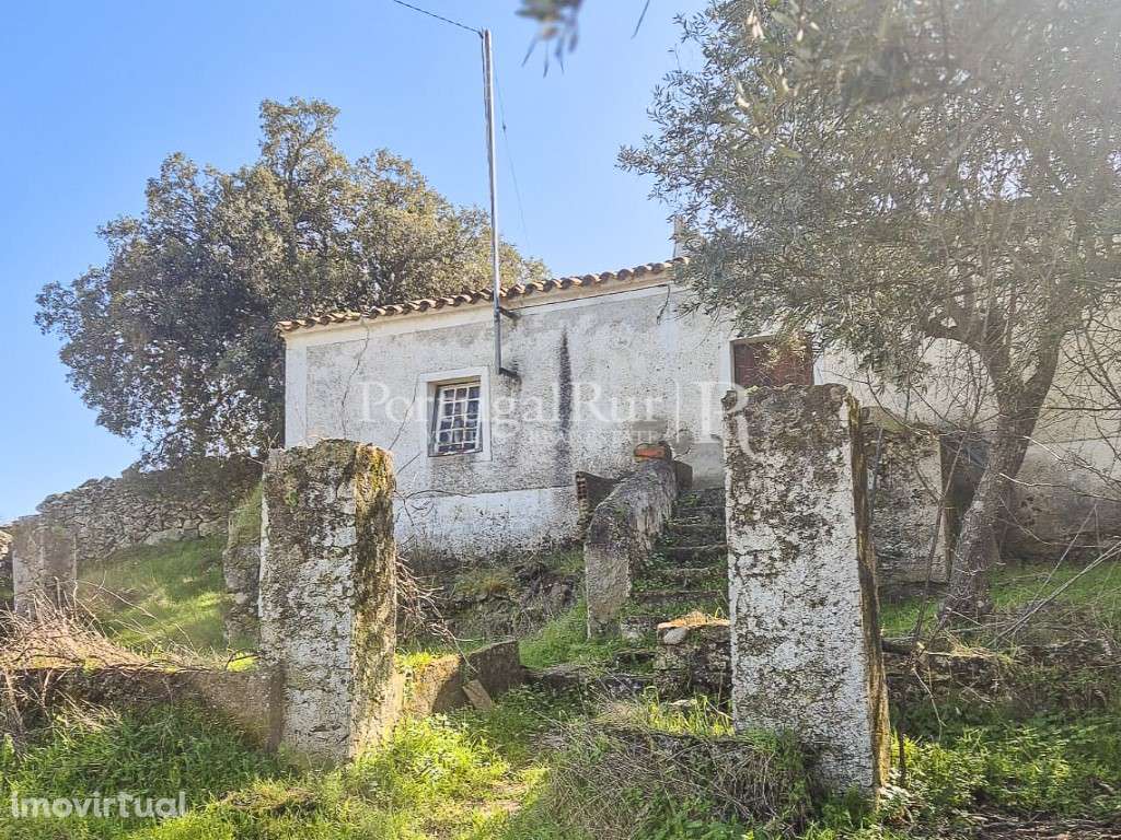 Quintinha com 3 ha e casa para reconstrução - Grande imagem: 5/58