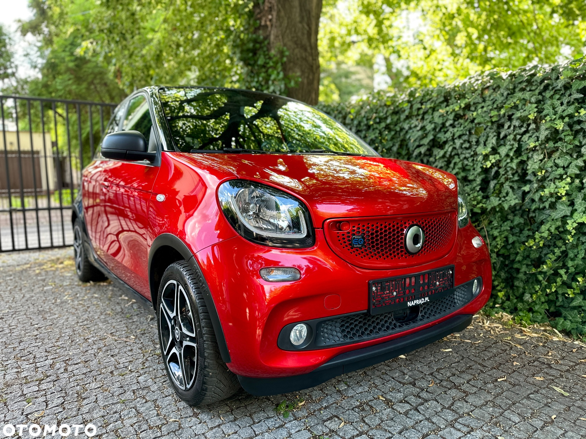 Smart Forfour EQ prime - 11